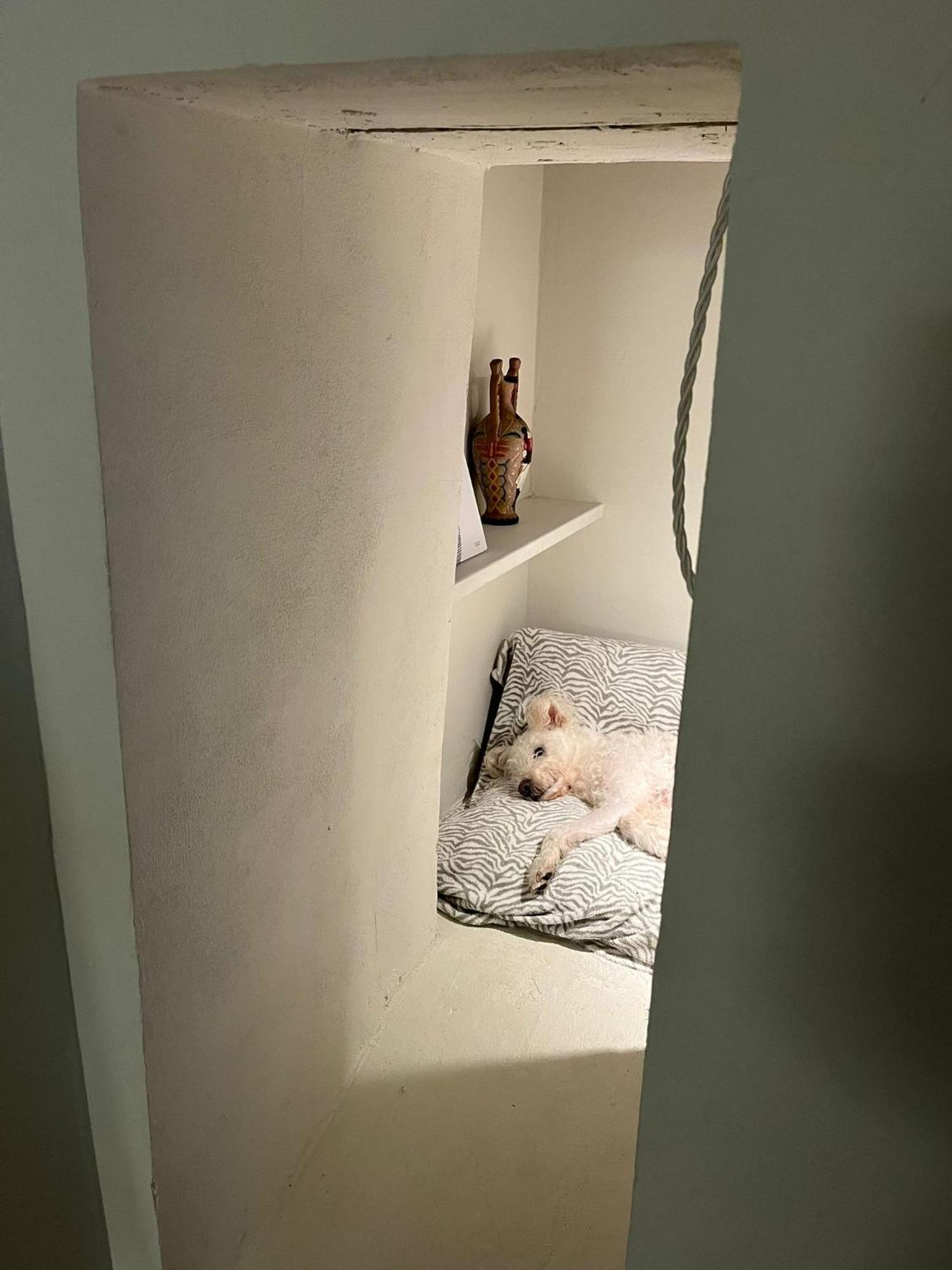 M.Sommer House Pistoia Eksteriør bilde